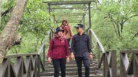 IMG-20250131-WA0104