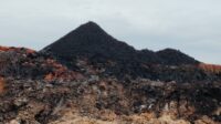 IMG-20260309-WA0040