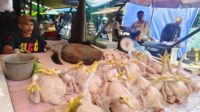 IMG-20260506-WA0005