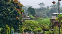 IMG-20260522-WA0009